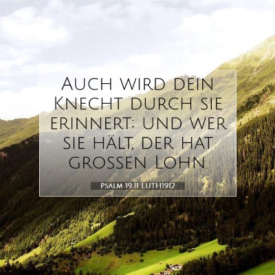 Picture 07 - Psalm 19:11 LUTH1912 - Auch wird dein Knecht durch sie erinnert; und wer - Bible Verse Picture