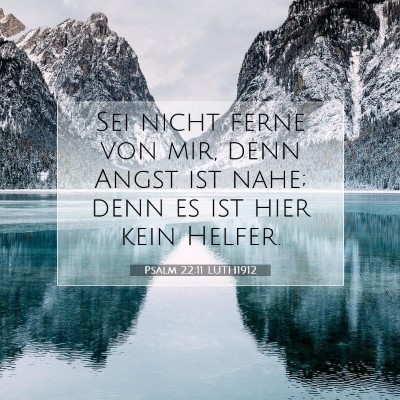 Picture 07 - Psalm 22:11 LUTH1912 - Sei nicht ferne von mir, denn Angst ist nahe; - Bible Verse Picture