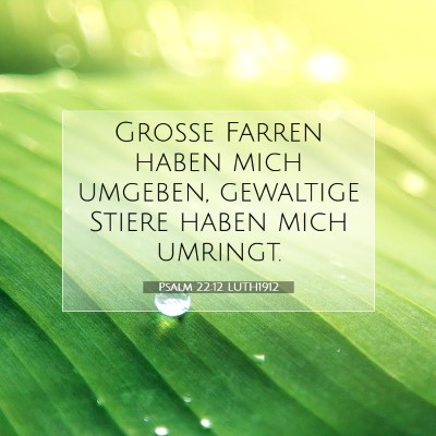 Picture 07 - Psalm 22:12 LUTH1912 - Große Farren haben mich umgeben, gewaltige - Bible Verse Picture