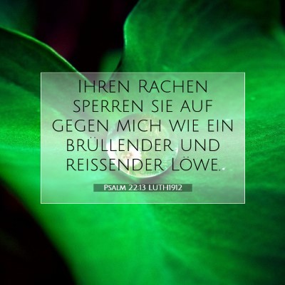Picture 07 - Psalm 22:13 LUTH1912 - Ihren Rachen sperren sie auf gegen mich wie ein - Bible Verse Picture