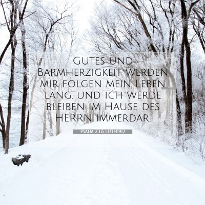 Picture 07 - Psalm 23:6 LUTH1912 - Gutes und Barmherzigkeit werden mir folgen mein - Bible Verse Picture