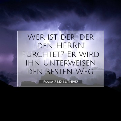 Picture 07 - Psalm 25:12 LUTH1912 - Wer ist der, der den HERRN fürchtet? Er wird ihn - Bible Verse Picture