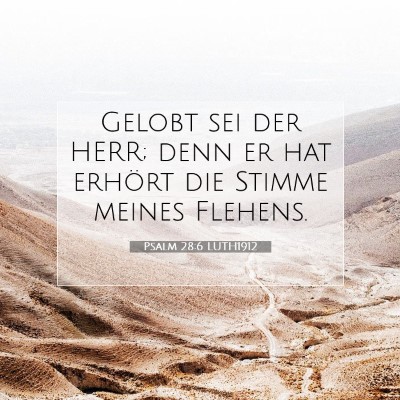 Picture 07 - Psalm 28:6 LUTH1912 - Gelobt sei der HERR; denn er hat erhört die - Bible Verse Picture