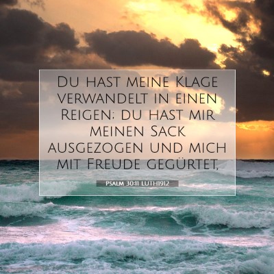 Picture 07 - Psalm 30:11 LUTH1912 - Du hast meine Klage verwandelt in einen Reigen; - Bible Verse Picture