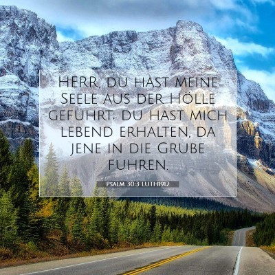 Picture 07 - Psalm 30:3 LUTH1912 - HERR, du hast meine Seele aus der Hölle - Bible Verse Picture