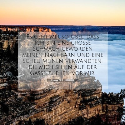Picture 07 - Psalm 31:11 LUTH1912 - Es geht mir so übel, daß ich bin eine große - Bible Verse Picture