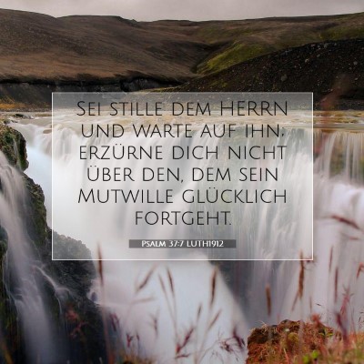 Picture 07 - Psalm 37:7 LUTH1912 - Sei stille dem HERRN und warte auf ihn; erzürne - Bible Verse Picture