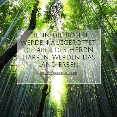 Picture 07 - Psalm 37:9 LUTH1912 - Denn die Bösen werden ausgerottet; die aber des - Bible Verse Picture