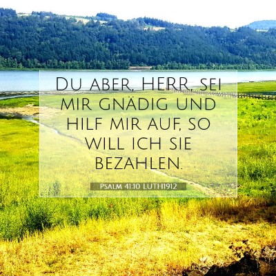 Picture 07 - Psalm 41:10 LUTH1912 - Du aber, HERR, sei mir gnädig und hilf mir auf, - Bible Verse Picture