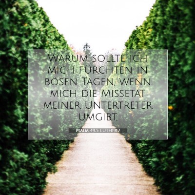 Picture 07 - Psalm 49:5 LUTH1912 - Warum sollte ich mich fürchten in bösen Tagen, - Bible Verse Picture