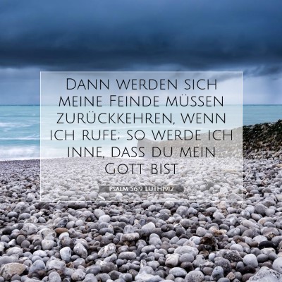 Picture 07 - Psalm 56:9 LUTH1912 - Dann werden sich meine Feinde müssen - Bible Verse Picture