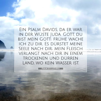 Picture 07 - Psalm 63:1 LUTH1912 - Ein Psalm Davids, da er war in der Wüste Juda. - Bible Verse Picture