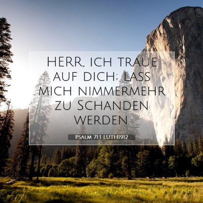 Picture 07 - Psalm 71:1 LUTH1912 - HERR, ich traue auf dich; laß mich nimmermehr zu - Bible Verse Picture