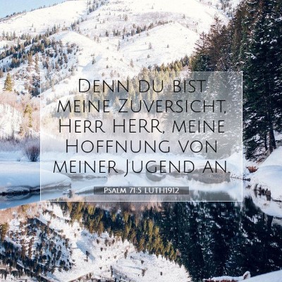 Picture 07 - Psalm 71:5 LUTH1912 - Denn du bist meine Zuversicht, Herr HERR, meine - Bible Verse Picture