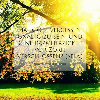 Picture 07 - Psalm 77:9 LUTH1912 - Hat Gott vergessen, gnädig zu sein, und seine - Bible Verse Picture