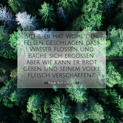 Picture 07 - Psalm 78:20 LUTH1912 - Siehe, er hat wohl den Felsen geschlagen, daß - Bible Verse Picture