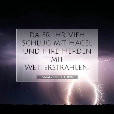 Picture 07 - Psalm 78:48 LUTH1912 - da er ihr Vieh schlug mit Hagel und ihre Herden - Bible Verse Picture