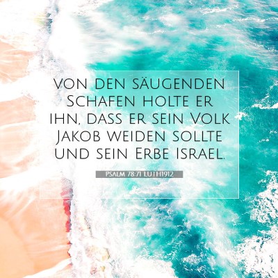 Picture 07 - Psalm 78:71 LUTH1912 - von den säugenden Schafen holte er ihn, daß er - Bible Verse Picture