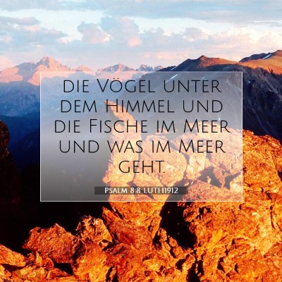 Picture 07 - Psalm 8:8 LUTH1912 - die Vögel unter dem Himmel und die Fische im - Bible Verse Picture