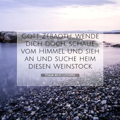 Picture 07 - Psalm 80:14 LUTH1912 - Gott Zebaoth, wende dich doch, schaue vom Himmel - Bible Verse Picture