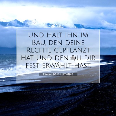 Picture 07 - Psalm 80:15 LUTH1912 - und halt ihn im Bau, den deine Rechte gepflanzt - Bible Verse Picture