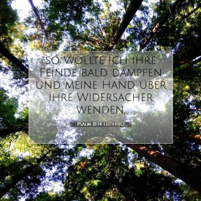 Picture 07 - Psalm 81:14 LUTH1912 - so wollte ich ihre Feinde bald dämpfen und meine - Bible Verse Picture