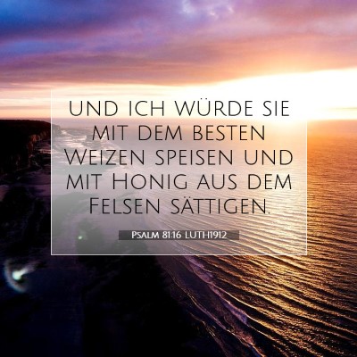 Picture 07 - Psalm 81:16 LUTH1912 - und ich würde sie mit dem besten Weizen speisen - Bible Verse Picture
