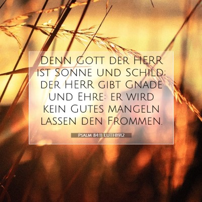 Picture 07 - Psalm 84:11 LUTH1912 - Denn Gott der HERR ist Sonne und Schild; der HERR - Bible Verse Picture