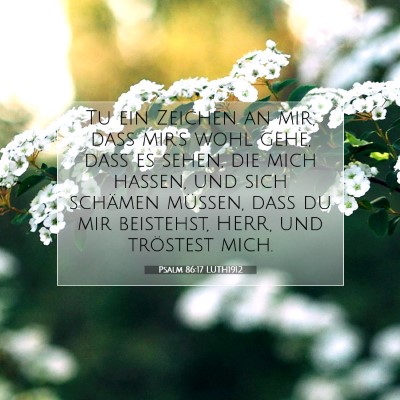 Picture 07 - Psalm 86:17 LUTH1912 - Tu ein Zeichen an mir, daß mir's wohl gehe, daß - Bible Verse Picture