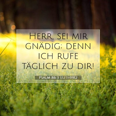 Picture 07 - Psalm 86:3 LUTH1912 - Herr, sei mir gnädig; denn ich rufe täglich zu - Bible Verse Picture