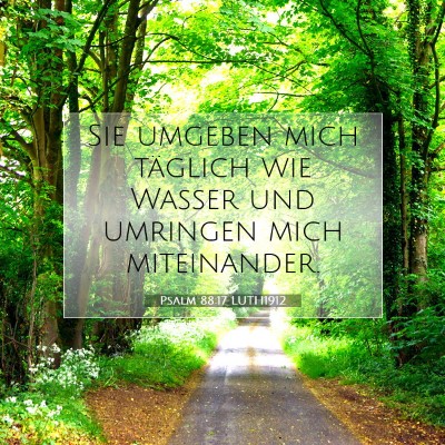 Picture 07 - Psalm 88:17 LUTH1912 - Sie umgeben mich täglich wie Wasser und umringen - Bible Verse Picture