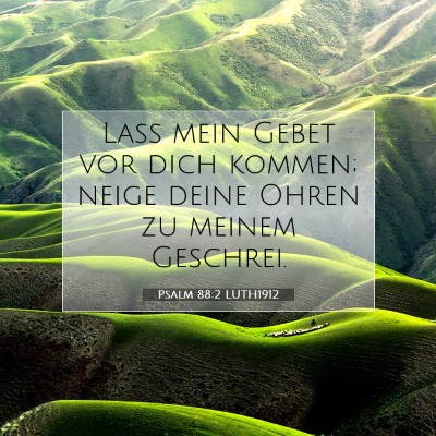 Picture 07 - Psalm 88:2 LUTH1912 - Laß mein Gebet vor dich kommen; neige deine - Bible Verse Picture