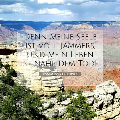 Picture 07 - Psalm 88:3 LUTH1912 - Denn meine Seele ist voll Jammers, und mein Leben - Bible Verse Picture