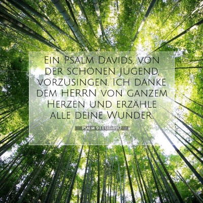 Picture 07 - Psalm 9:1 LUTH1912 - Ein Psalm Davids, von der schönen Jugend, - Bible Verse Picture