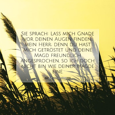 Picture 07 - Rut 2:13 LUTH1912 - Sie sprach: Laß mich Gnade vor deinen Augen - Bible Verse Picture