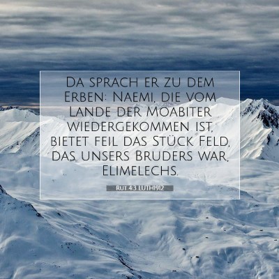 Picture 07 - Rut 4:3 LUTH1912 - Da sprach er zu dem Erben: Naemi, die vom Lande - Bible Verse Picture