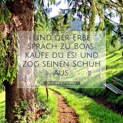 Picture 07 - Rut 4:8 LUTH1912 - Und der Erbe sprach zu Boas: Kaufe du es! und zog - Bible Verse Picture