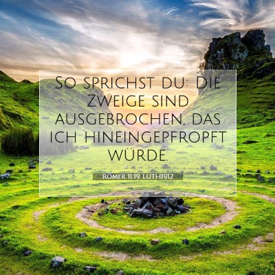 Picture 07 - Römer 11:19 LUTH1912 - So sprichst du: Die Zweige sind ausgebrochen, das - Bible Verse Picture