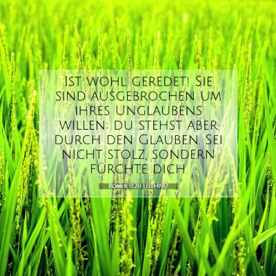 Picture 07 - Römer 11:20 LUTH1912 - Ist wohl geredet! Sie sind ausgebrochen um ihres - Bible Verse Picture