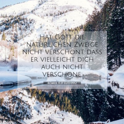Picture 07 - Römer 11:21 LUTH1912 - Hat Gott die natürlichen Zweige nicht verschont, - Bible Verse Picture