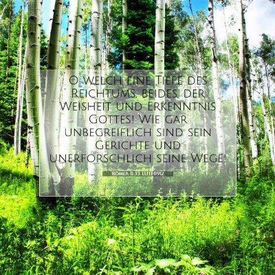 Picture 07 - Römer 11:33 LUTH1912 - O welch eine Tiefe des Reichtums, beides, der - Bible Verse Picture