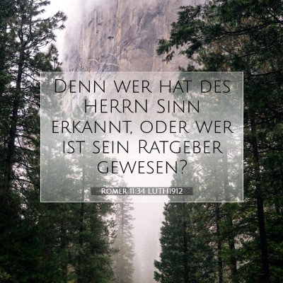 Picture 07 - Römer 11:34 LUTH1912 - Denn wer hat des HERRN Sinn erkannt, oder wer ist - Bible Verse Picture