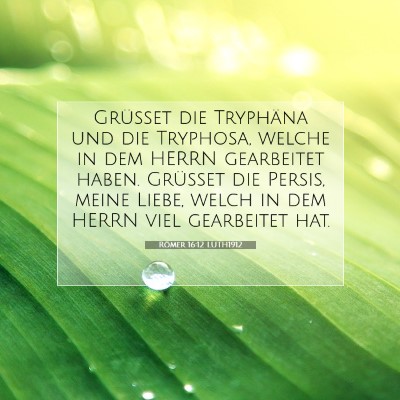 Picture 07 - Römer 16:12 LUTH1912 - Grüßet die Tryphäna und die Tryphosa, welche - Bible Verse Picture