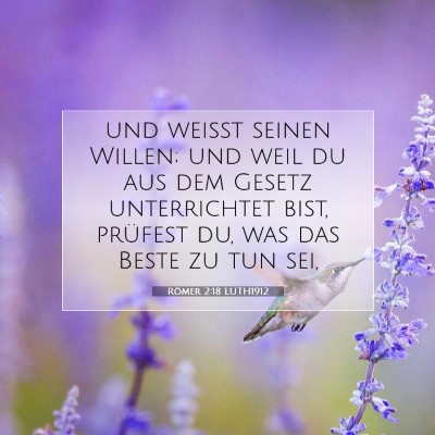 Picture 07 - Römer 2:18 LUTH1912 - und weißt seinen Willen; und weil du aus dem - Bible Verse Picture