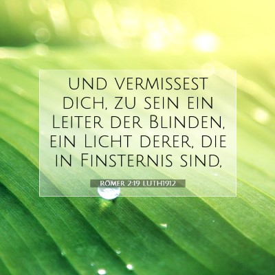 Picture 07 - Römer 2:19 LUTH1912 - und vermissest dich, zu sein ein Leiter der - Bible Verse Picture