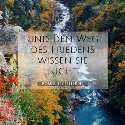 Picture 07 - Römer 3:17 LUTH1912 - und den Weg des Friedens wissen sie - Bible Verse Picture