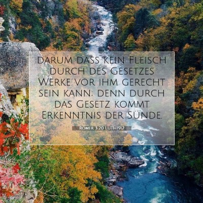 Picture 07 - Römer 3:20 LUTH1912 - darum daß kein Fleisch durch des Gesetzes Werke - Bible Verse Picture