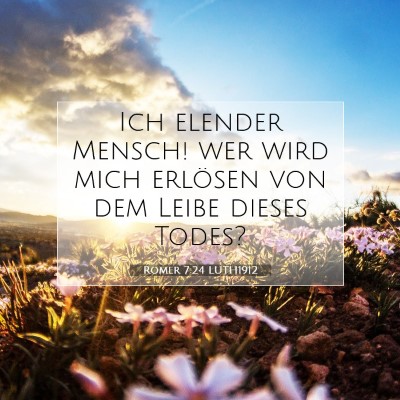 Picture 07 - Römer 7:24 LUTH1912 - Ich elender Mensch! wer wird mich erlösen von - Bible Verse Picture