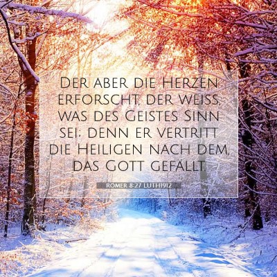 Picture 07 - Römer 8:27 LUTH1912 - Der aber die Herzen erforscht, der weiß, was des - Bible Verse Picture