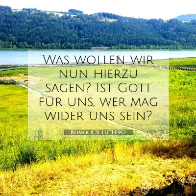 Picture 07 - Römer 8:31 LUTH1912 - Was wollen wir nun hierzu sagen? Ist Gott für - Bible Verse Picture